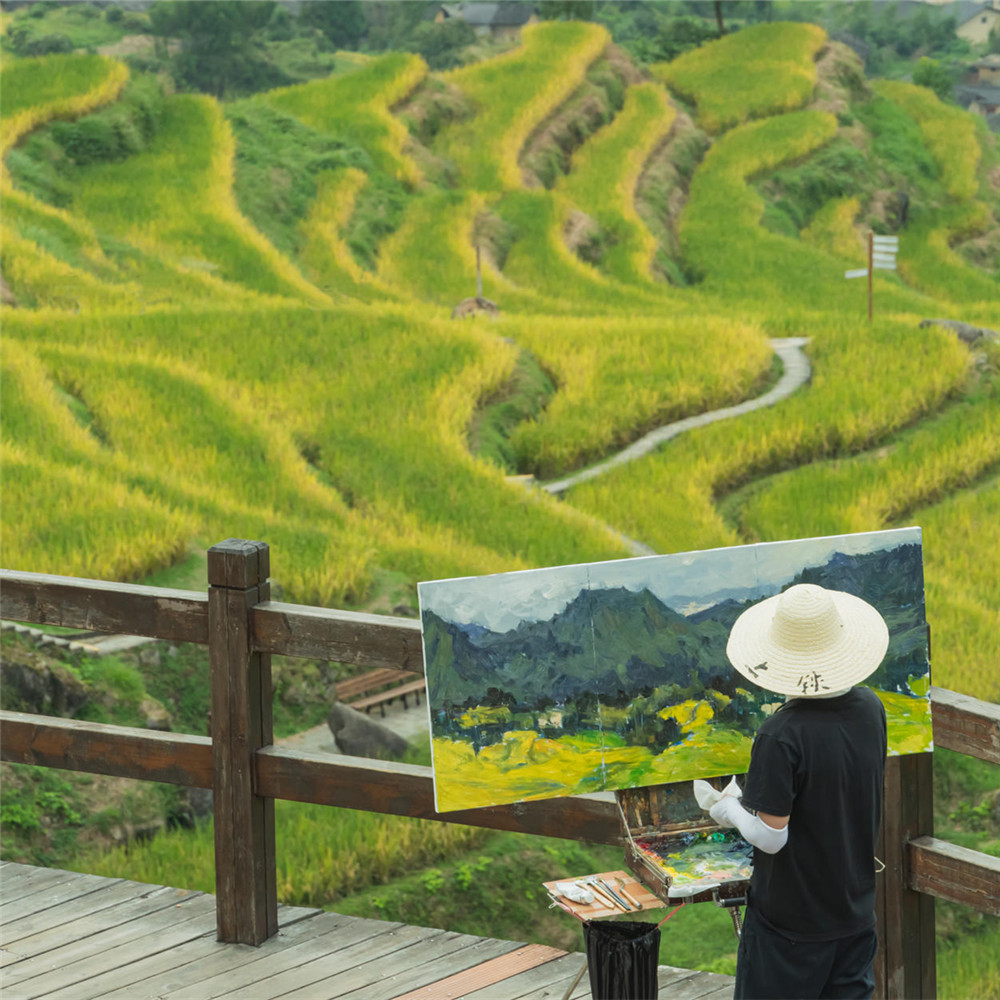 浙南秘境 国庆去看金色的田野，诗画山水慢时光之旅