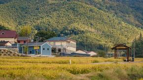 禅林佛国·天童祈福 | 与灵隐齐名的“东南佛国”