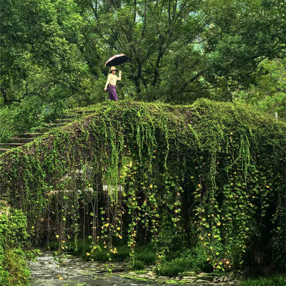 萧山集合·富春天子岗 游古村-轻徒步-吃葡萄5斤