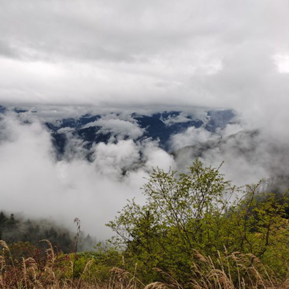 登峰造极·鸡公梁子 | 穿越秋色秘境 赏雪山云海奇景