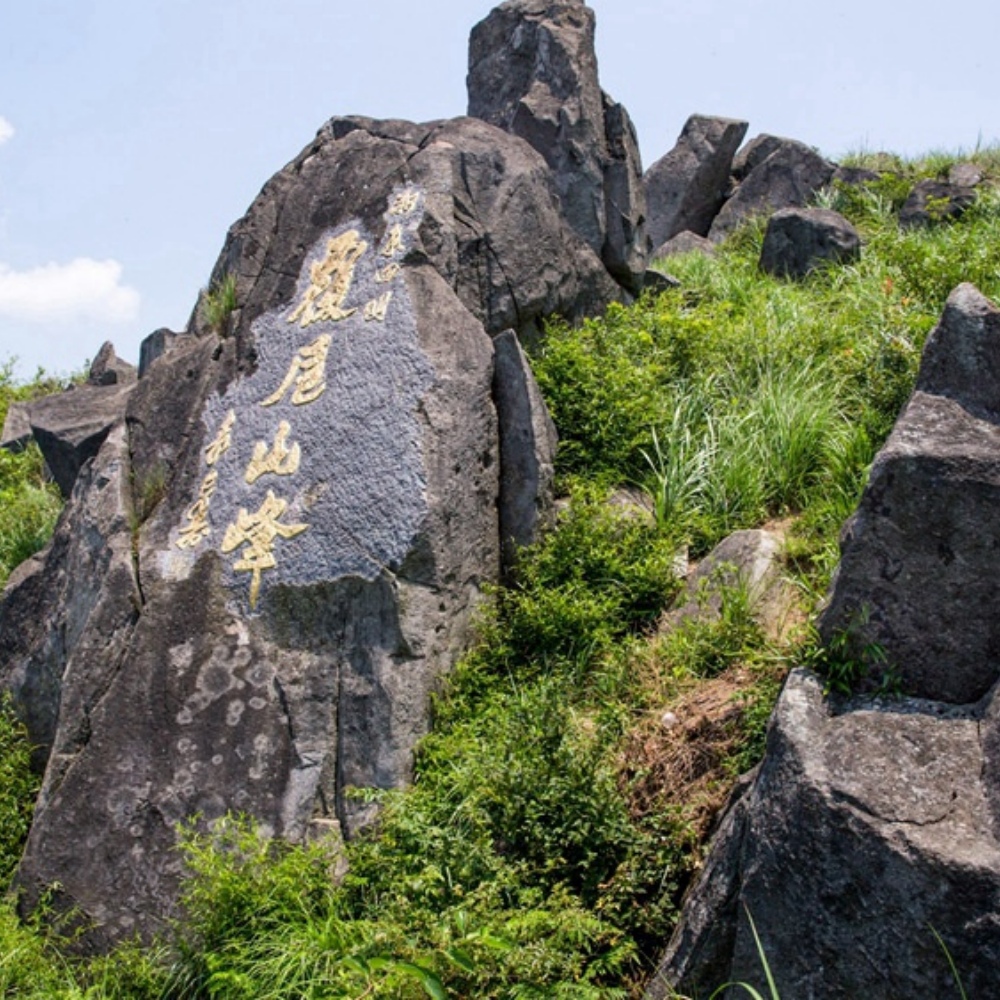 覆卮山·野攀石浪 | 赏千亩梯田，四明山金秋稻田