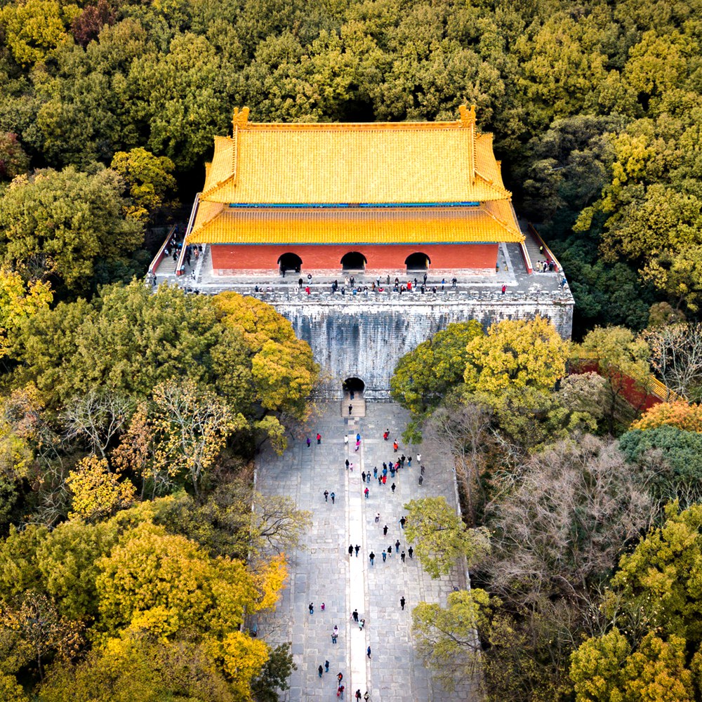 深度南京·半自由行 | 家庭出游优选，2人成行