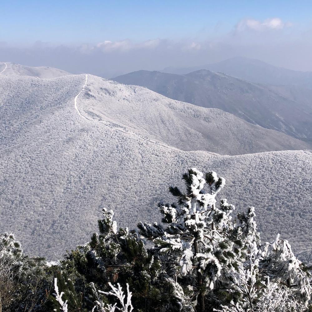 冰峰雪岭·桐杭岗｜凌绝顶之上，俯瞰群峦，雪域雄姿