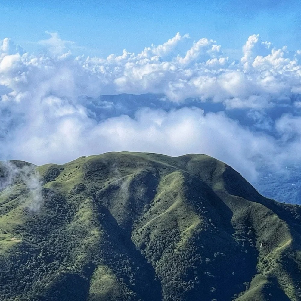 阳江烂头岭 | 牛马天堂，绝美高山草坡