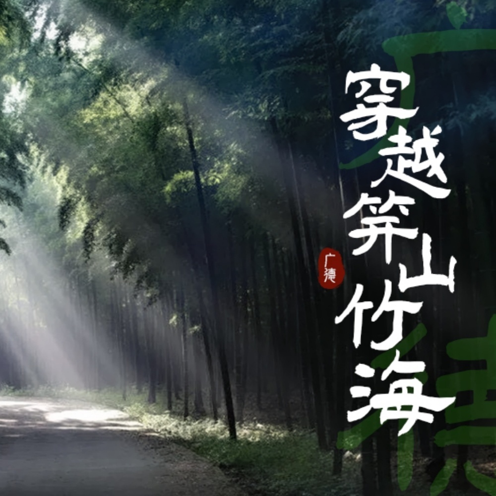 疾速追山·笄山竹海｜竹林奇径，笄山至唐流大穿越