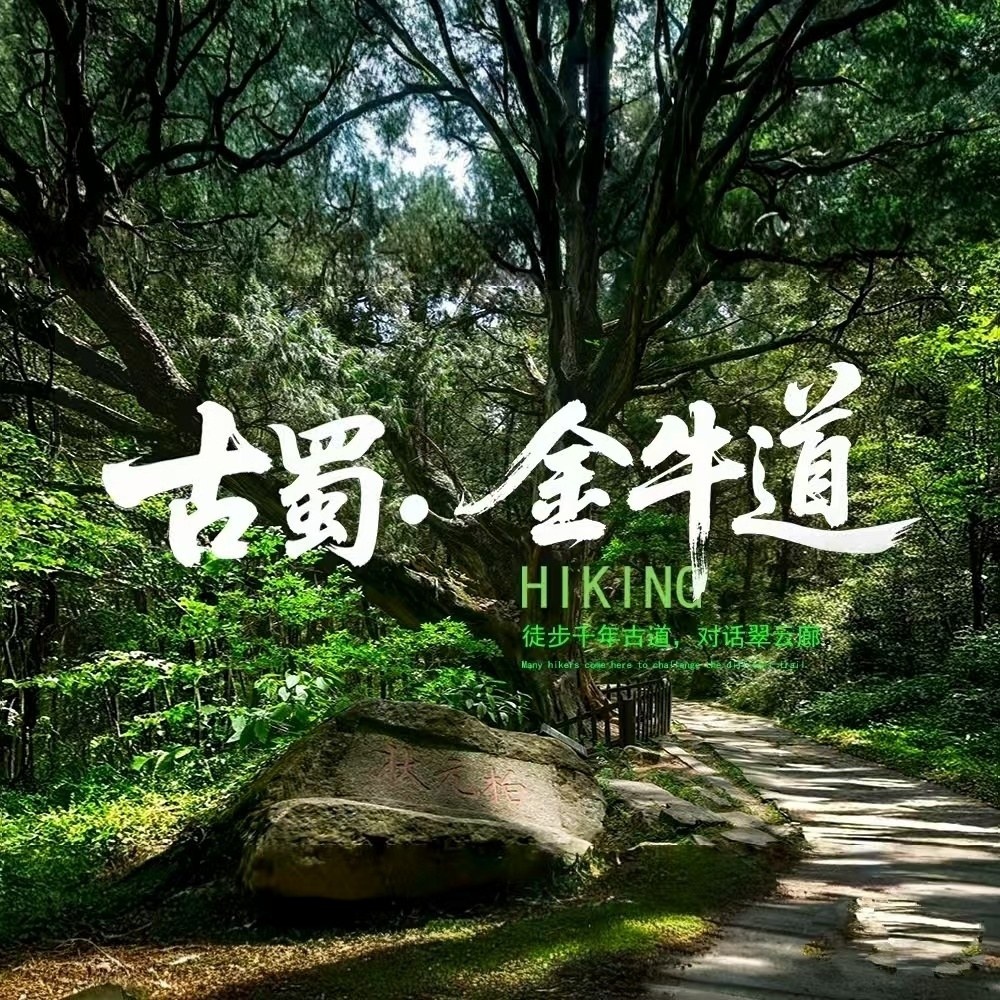 金牛·古蜀道 | 感受千年古蜀道、人文徒步天花板！