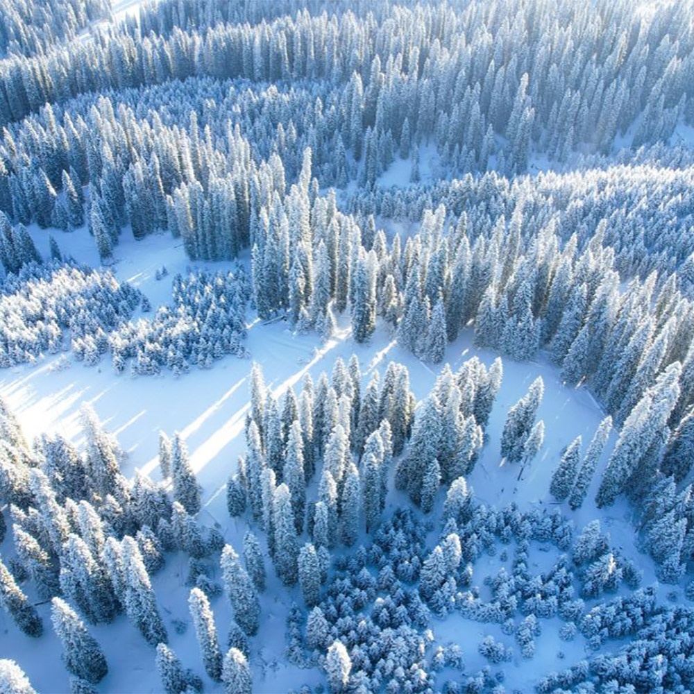 野趣·雪落伊犁 | 天山过冬，超多新奇玩法6-7日
