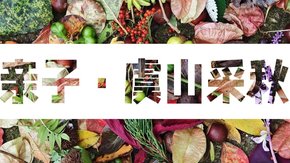 亲子·虞山采秋 | 植物及菌子观察+种子采秋体验