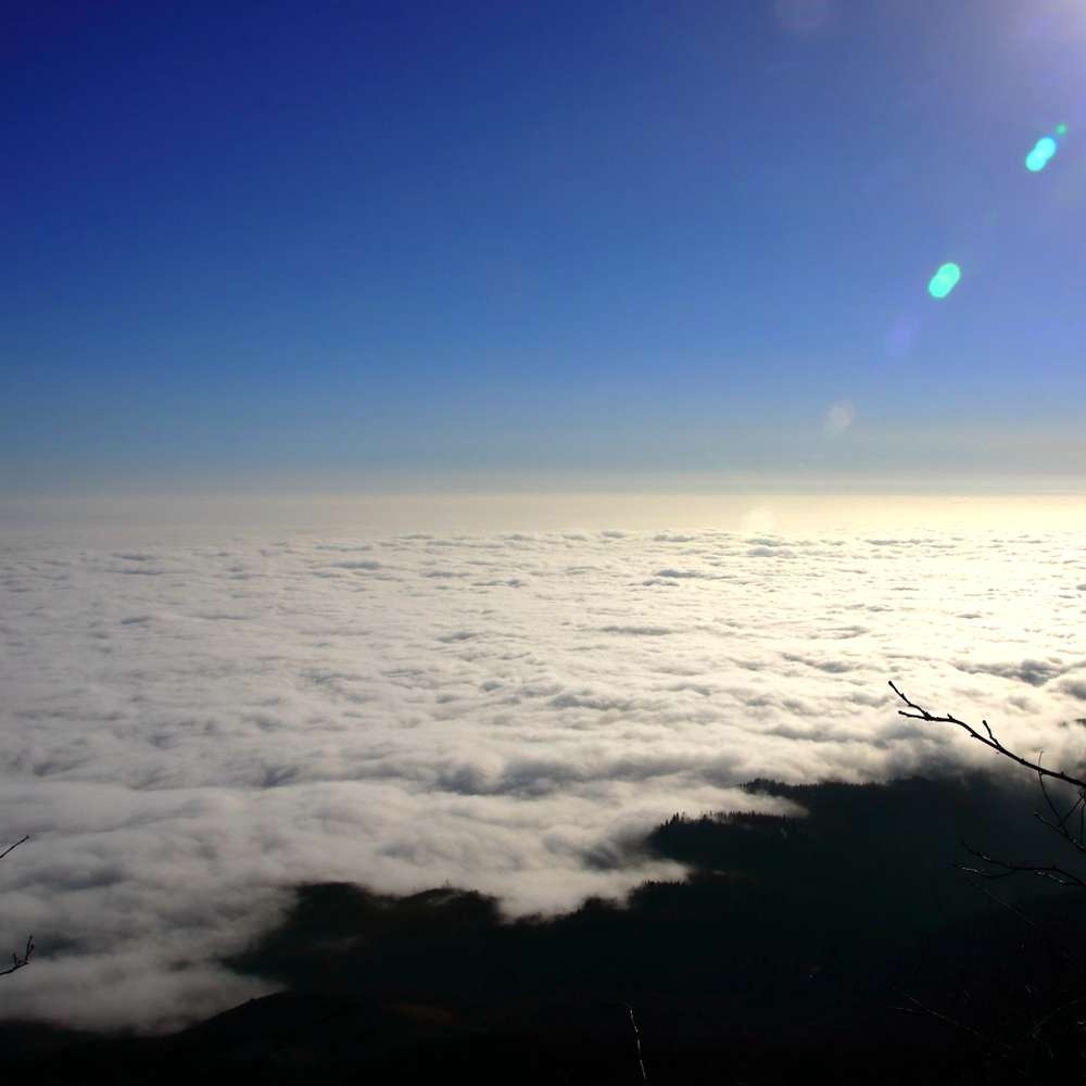 趣味打野·天台山 | 徒步登山 寻找野生猕猴桃猫屎瓜