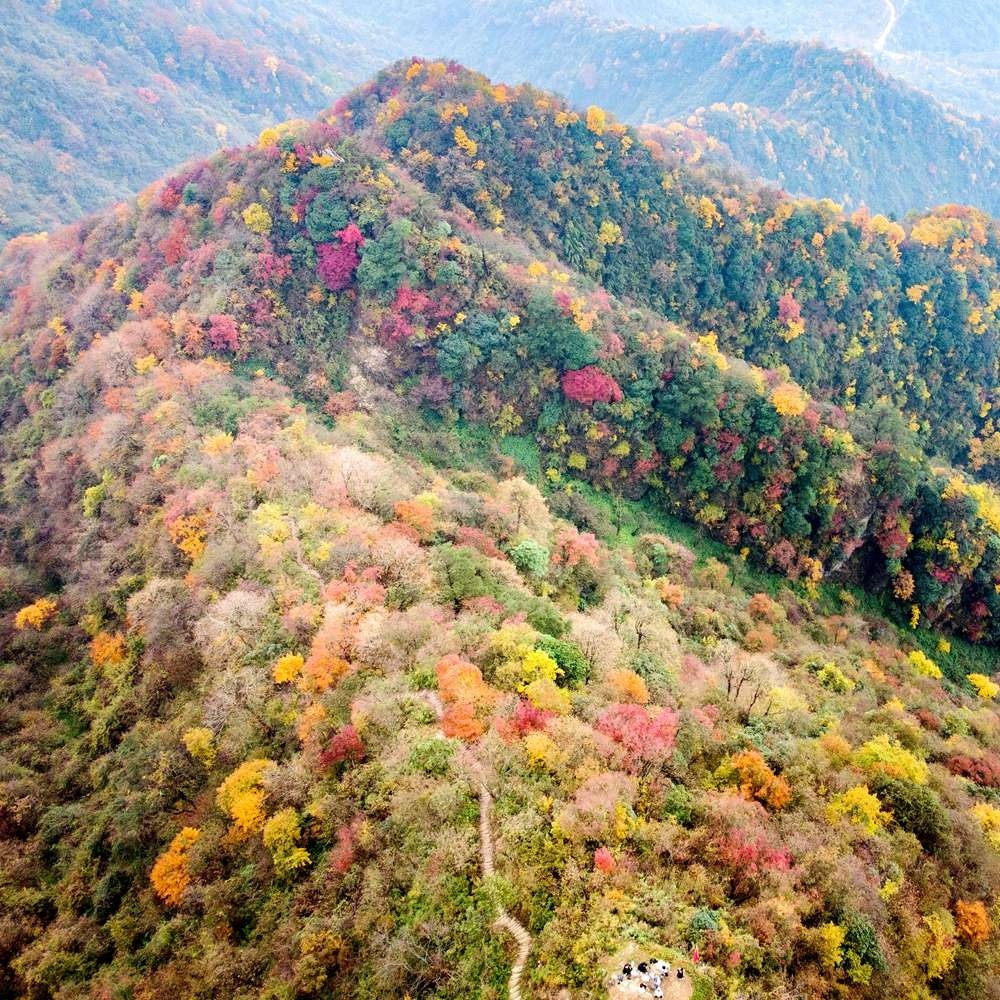 红叶彩林·赵公山西线 | 秋色登高 看云海拜财神