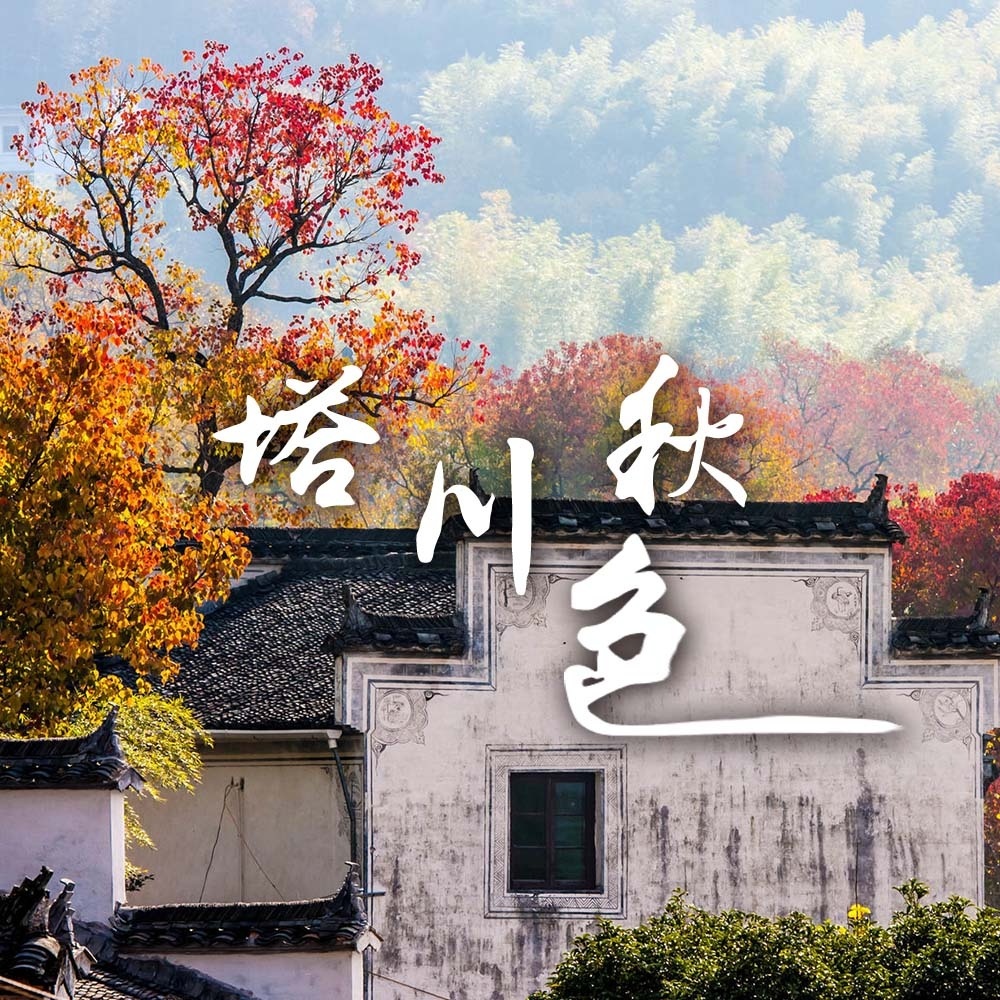 无锡出发·塔川秋色 | 入住画里宏村 | 惊艳徽州秋色