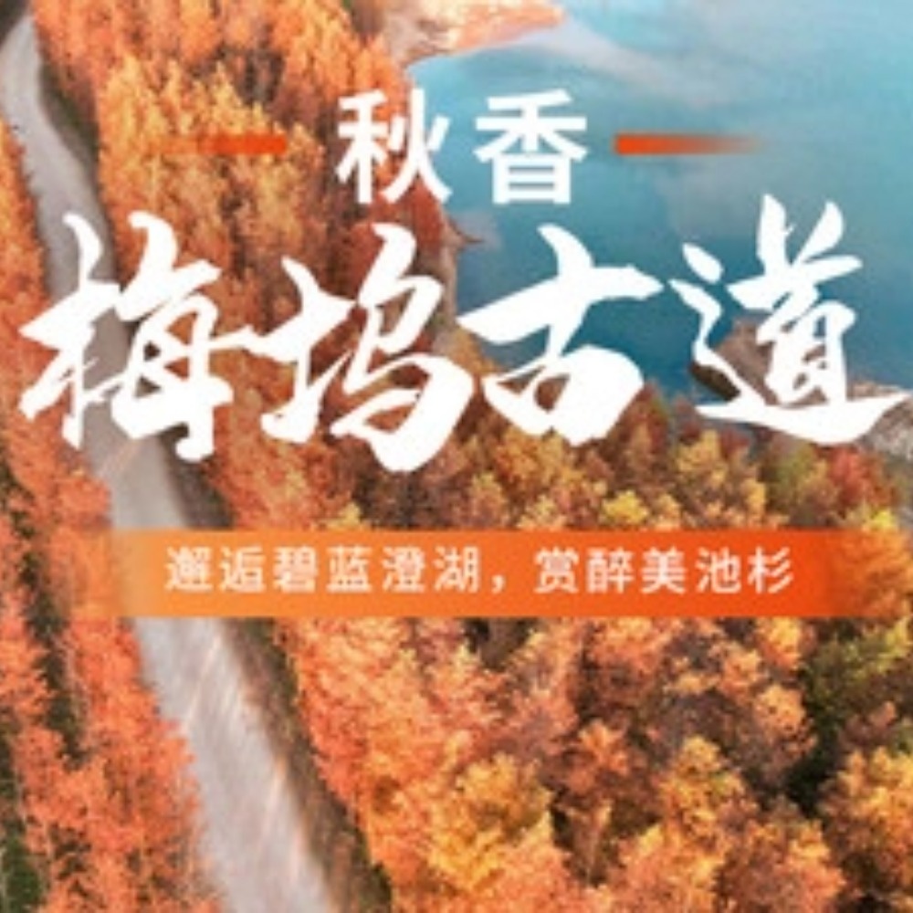 游侠客X两步路｜秋香·梅坞古道，赏醉美池杉