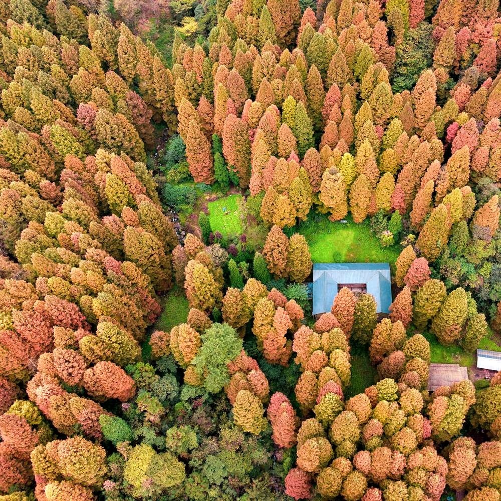秋色徒步·上元古道 | 小众秘境古道漫步（9点出发）