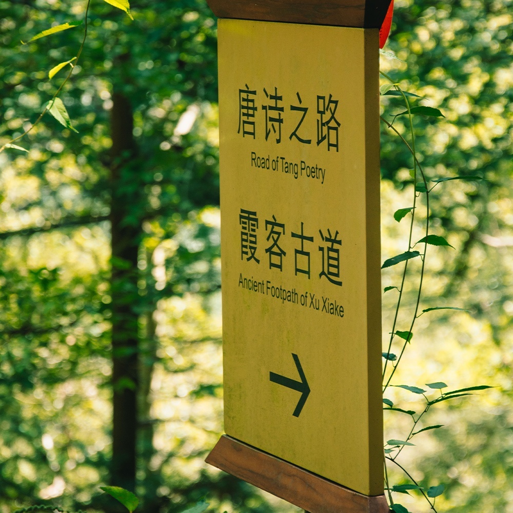 秋日来信 · 国清寺秋色徒步 穿越智者塔院高明讲寺