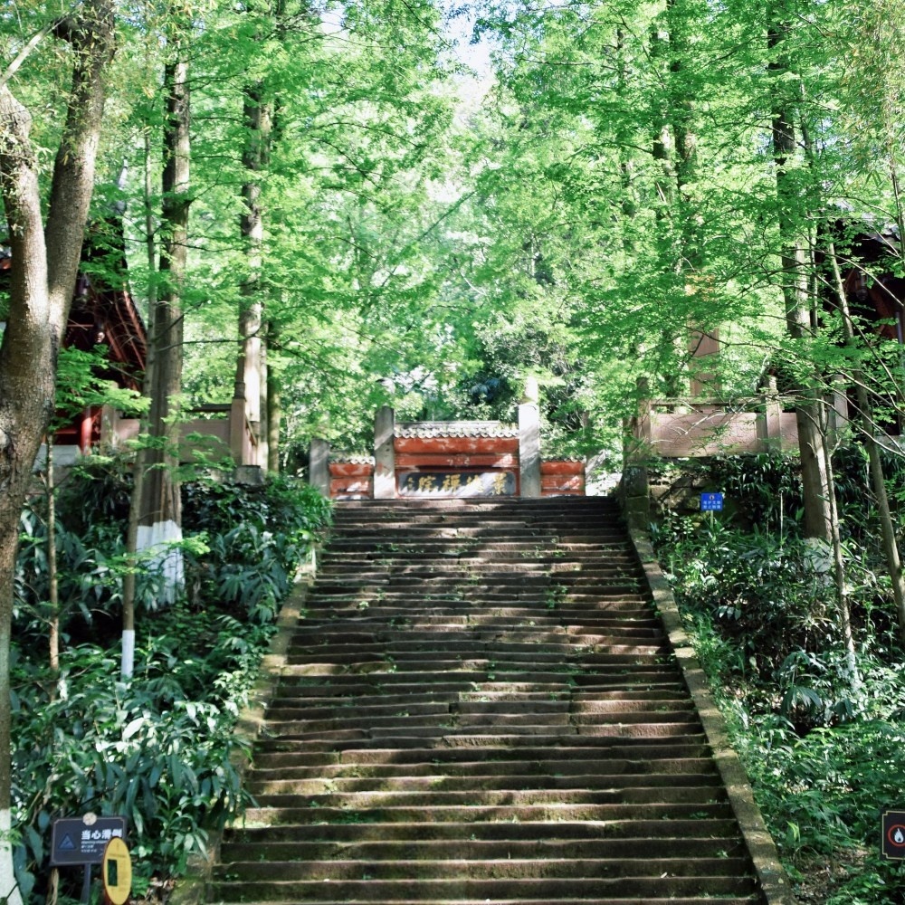 宝藏小城 · 休闲青神 | 逛冷门古镇 游东坡初恋地