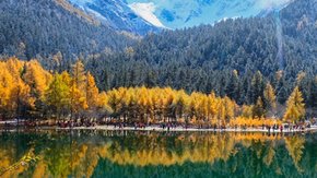 秋色川西·毕棚沟 | 打卡川西雪山林原 半自由行
