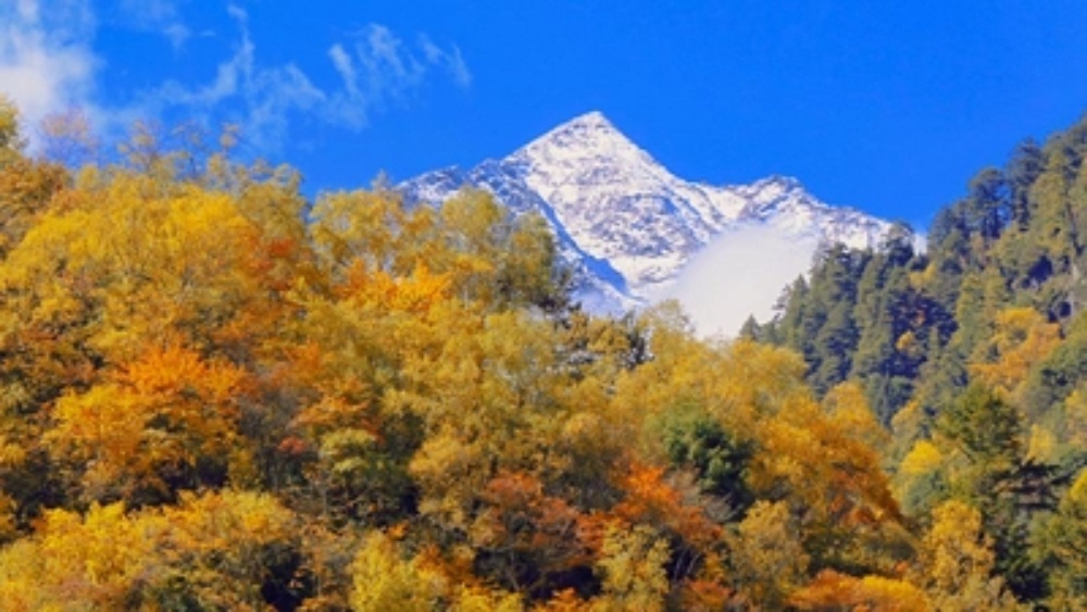 秋色·孟屯河谷 漫步森林深谷