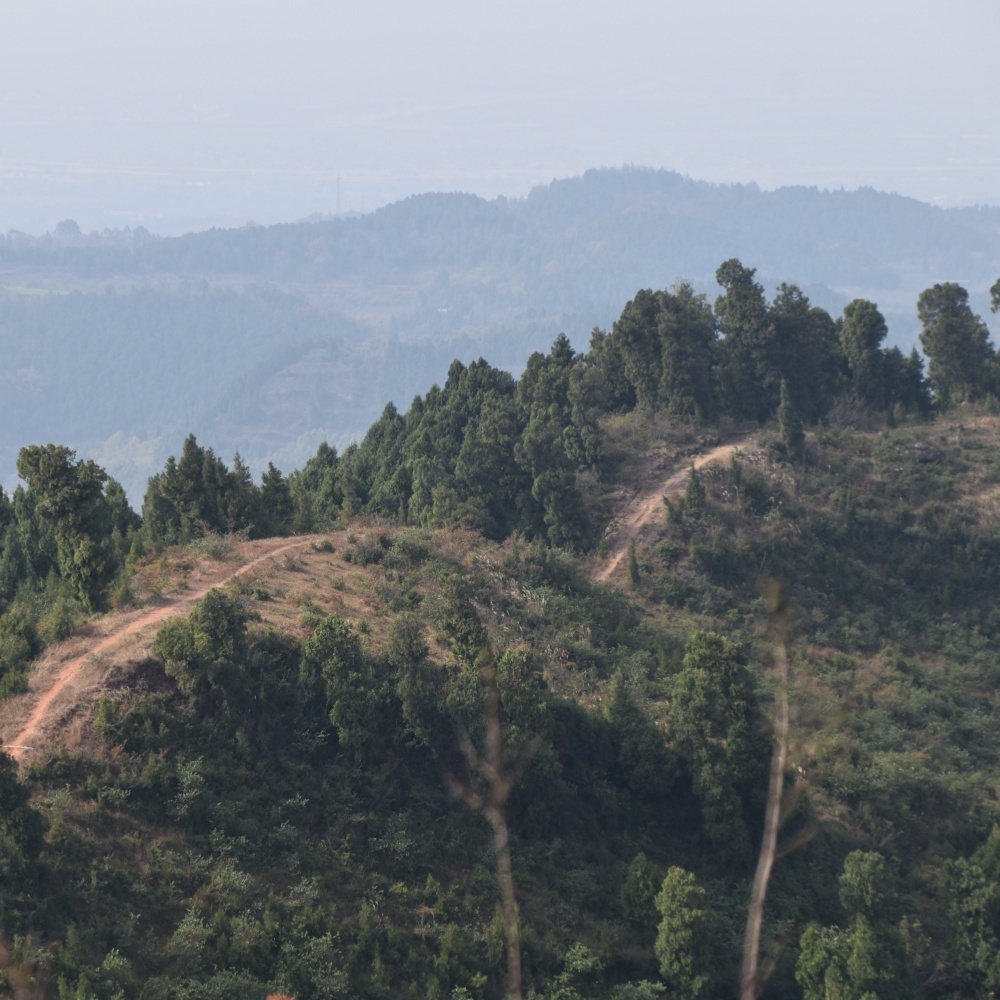 亲子·金堂老牛坡9KM | 每周一山·山脊趣行2.0