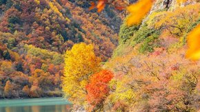 秘境秋色·松坪沟 | 轻徒小九寨 赏漫山彩林