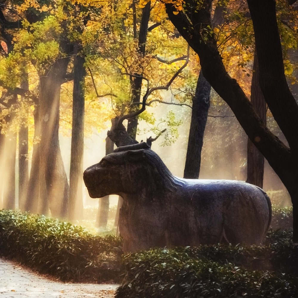 世界遗产·明孝陵 2025全年安排