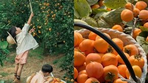 独立成团·亲子活动定制