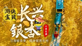 亲子·长兴古银杏 | 金秋十里银杏,户外野趣三项挑战