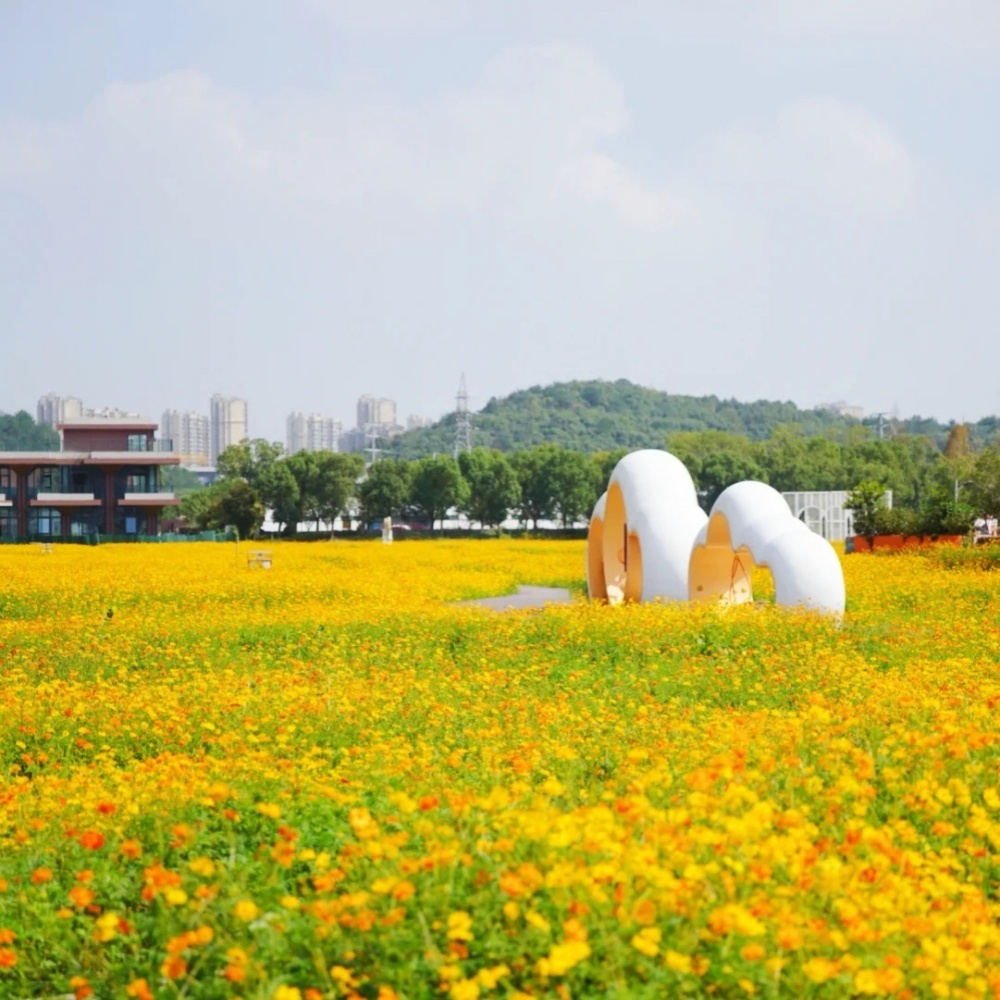浮生半日·毛岙悠游｜宝藏村落探索，向往的户外生活