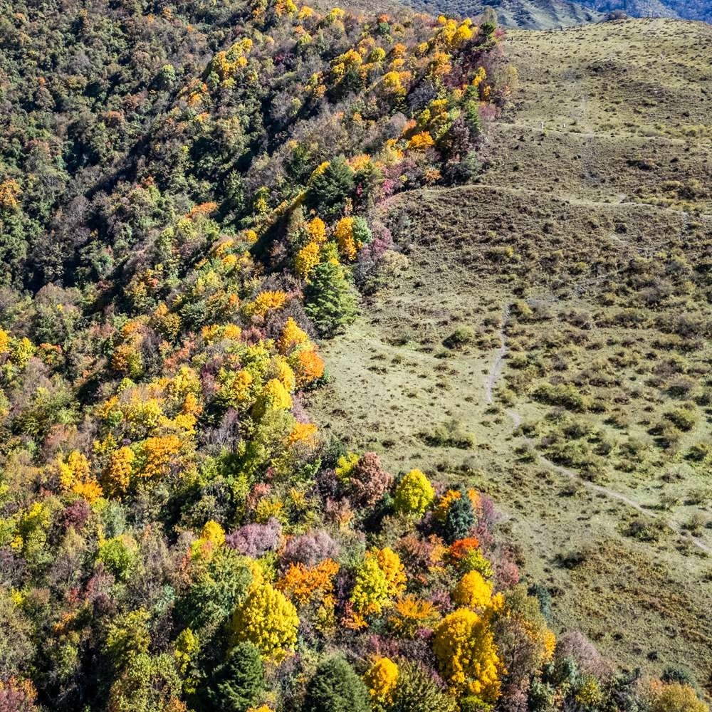 登峰造极·云中岭 | 5-10公里AB线 强度可选