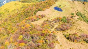 红叶彩林·甘海子 | 飞猪森林AB线 强度可选
