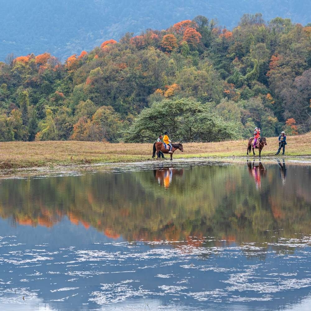 红叶彩林·甘海子 | 飞猪森林AB线 强度可选