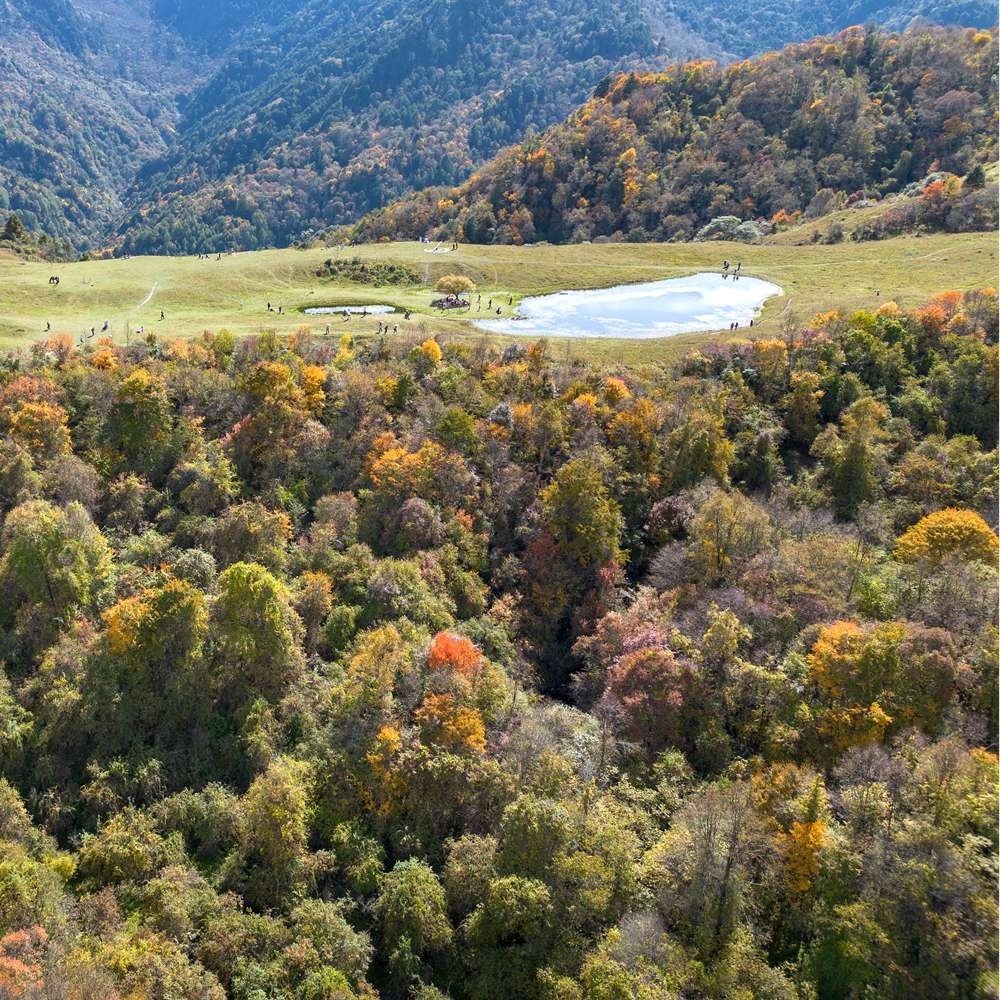 红叶彩林·甘海子 | 飞猪森林AB线 强度可选