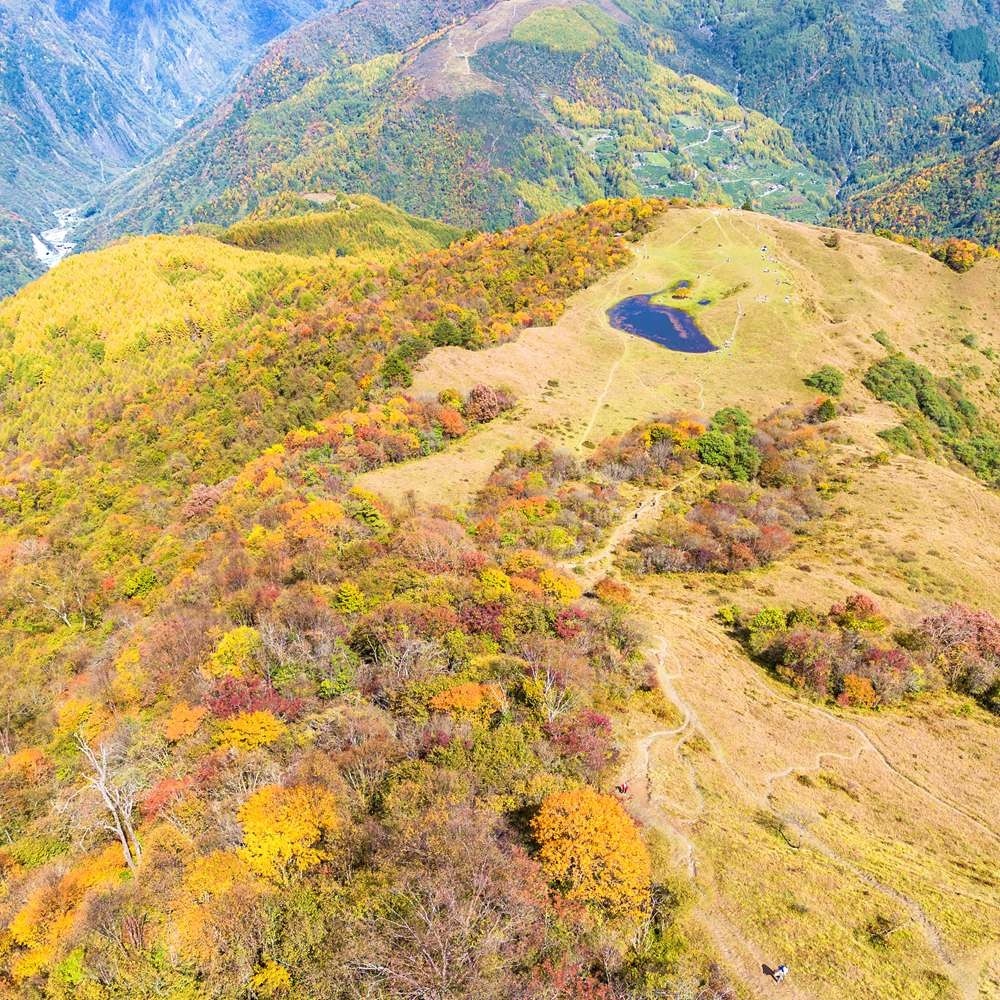 红叶彩林·甘海子 | 飞猪森林AB线 强度可选