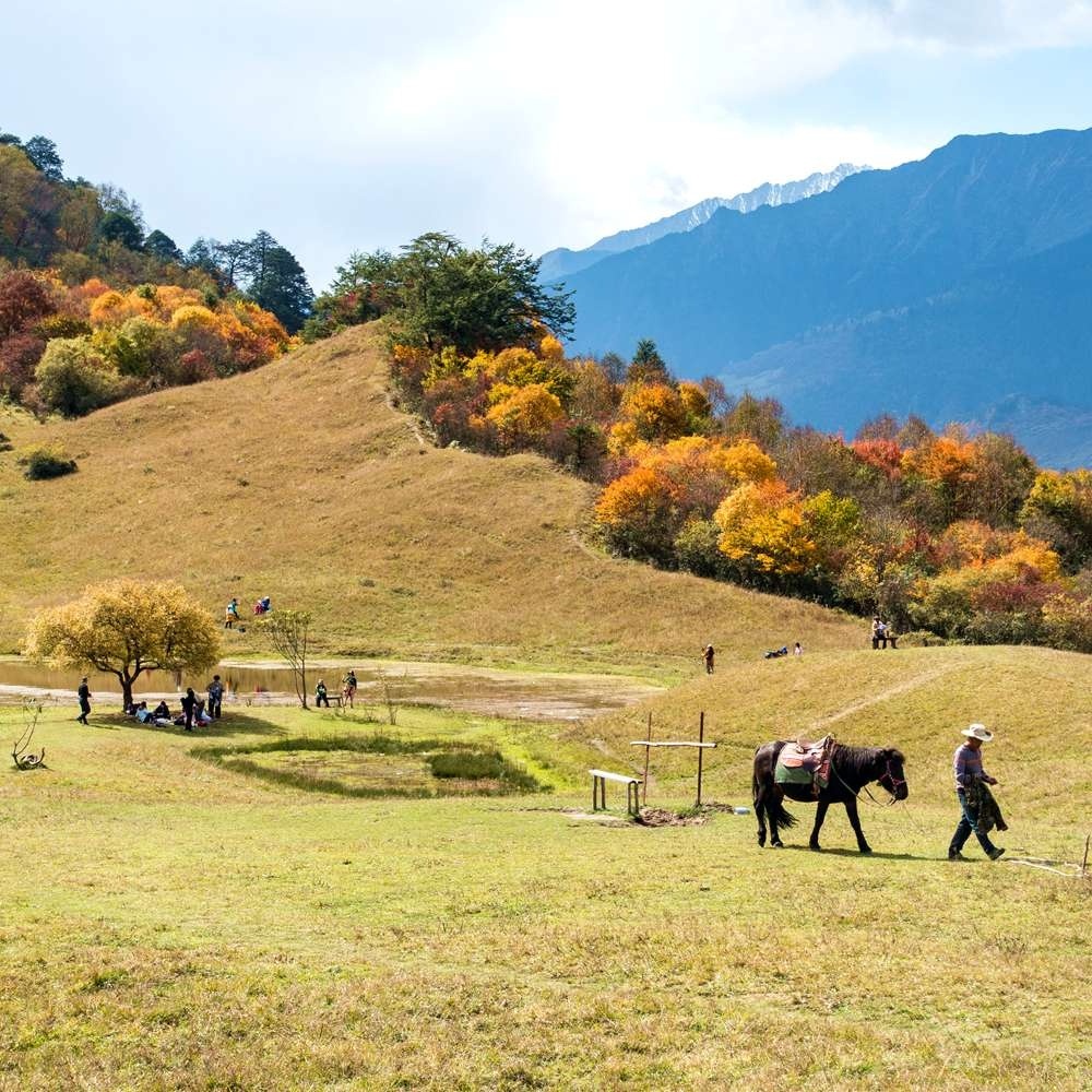 红叶彩林·甘海子 | 飞猪森林AB线 强度可选