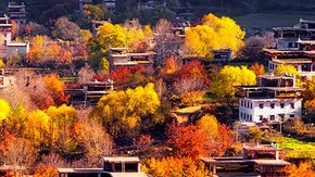 丹巴红叶5日 | 漫步金川红叶谷,夜宿藏寨女王城堡