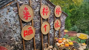 宝山出发·柿林村|四明山古村徒步,茅镬柿林赏晒秋