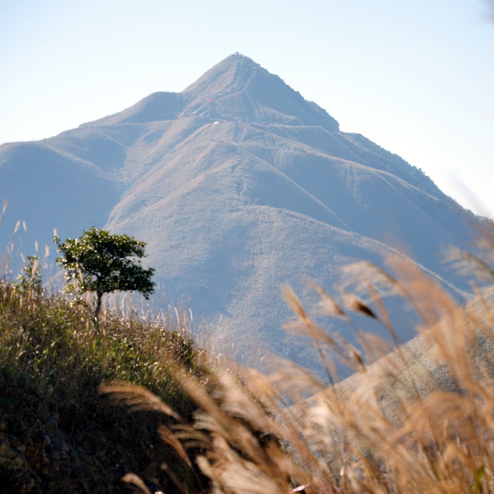 大南山芦苇荡 | 大南山徒步，攀斧头石，打卡高山草甸