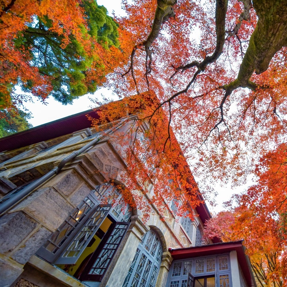 庐山户外挑战版2日 | 庐山正秋时，好汉坡登顶免票季