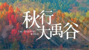 红杉枫香·大禹谷 | 徒步赏秋