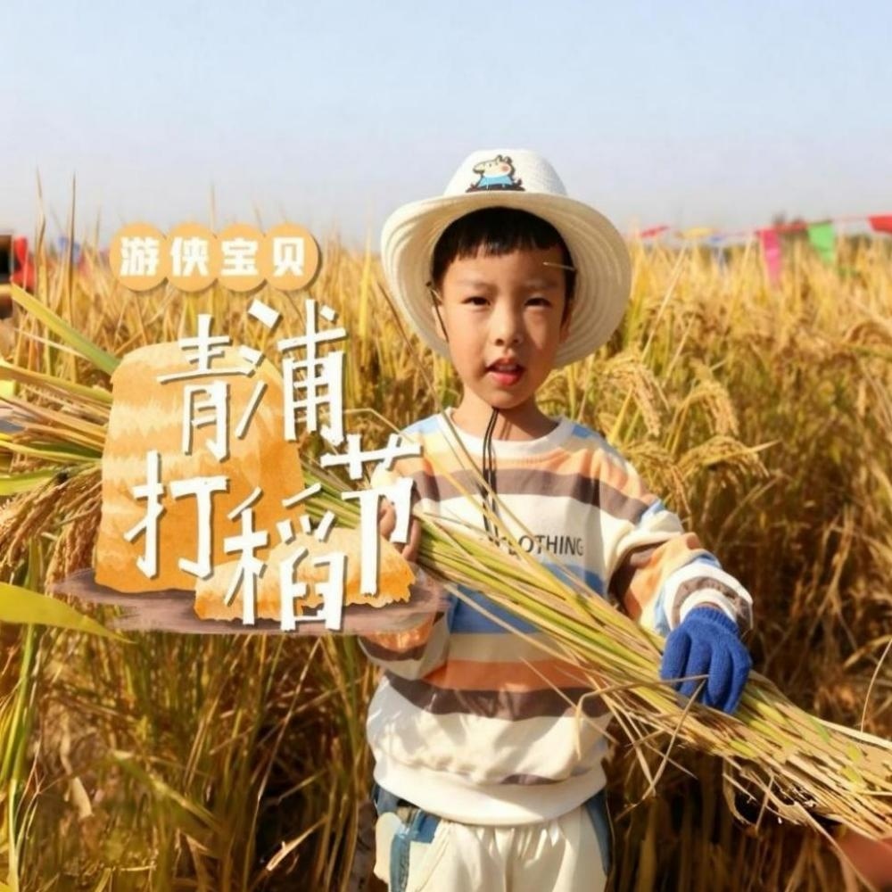 亲子·青浦打稻节 | 割稻子+扎稻草人+米糕草帽制作