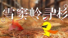 亲子·雪窦岭红杉 | 稽东小众赏秋地+入门级古道徒步