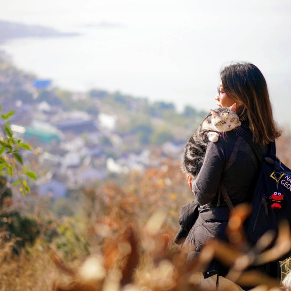 汪汪GO·莫厘登高｜登顶莫厘峰，打卡木渎古镇