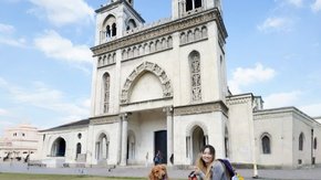 汪汪GO·漫游嘉兴|中西建筑交汇,漫步莫奈花园