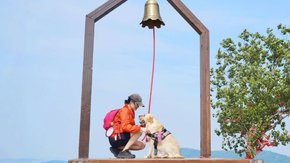 汪汪GO·西山岛|山脊徒步赏太湖,登顶敲钟祈福