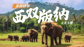 游侠研学·西双版纳 | 探索热带动植物的神奇与奥秘