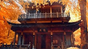 惊艳金陵·栖霞山 | 1日赏遍红枫银杏!