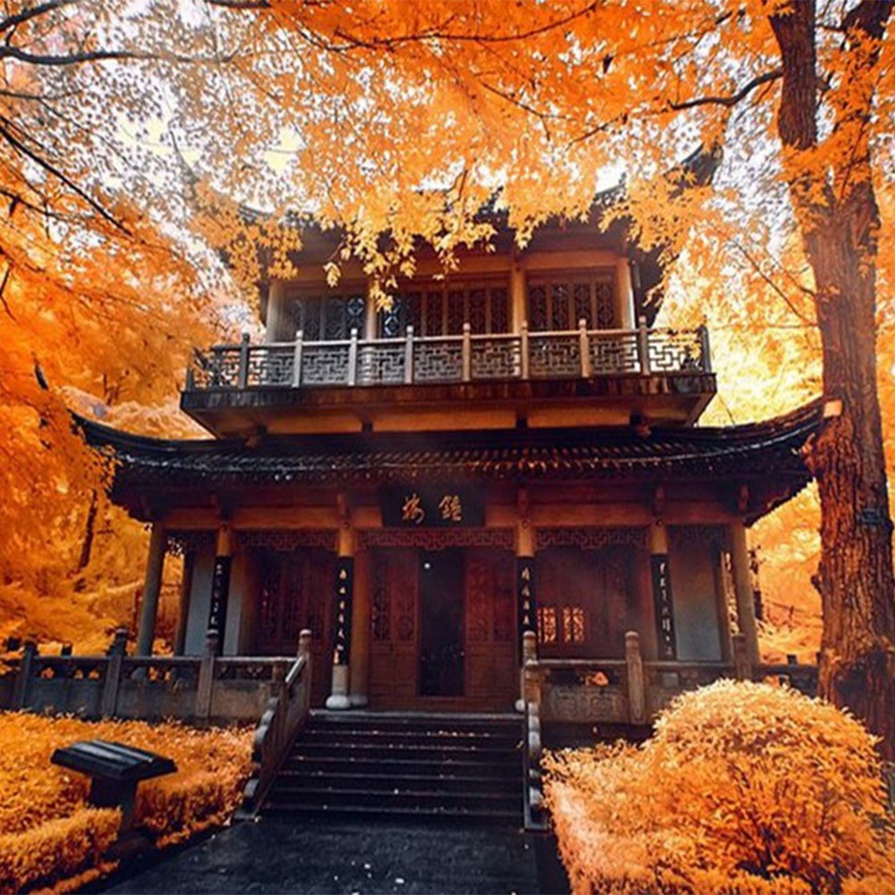 惊艳金陵·栖霞山 | 1日赏遍红枫银杏！