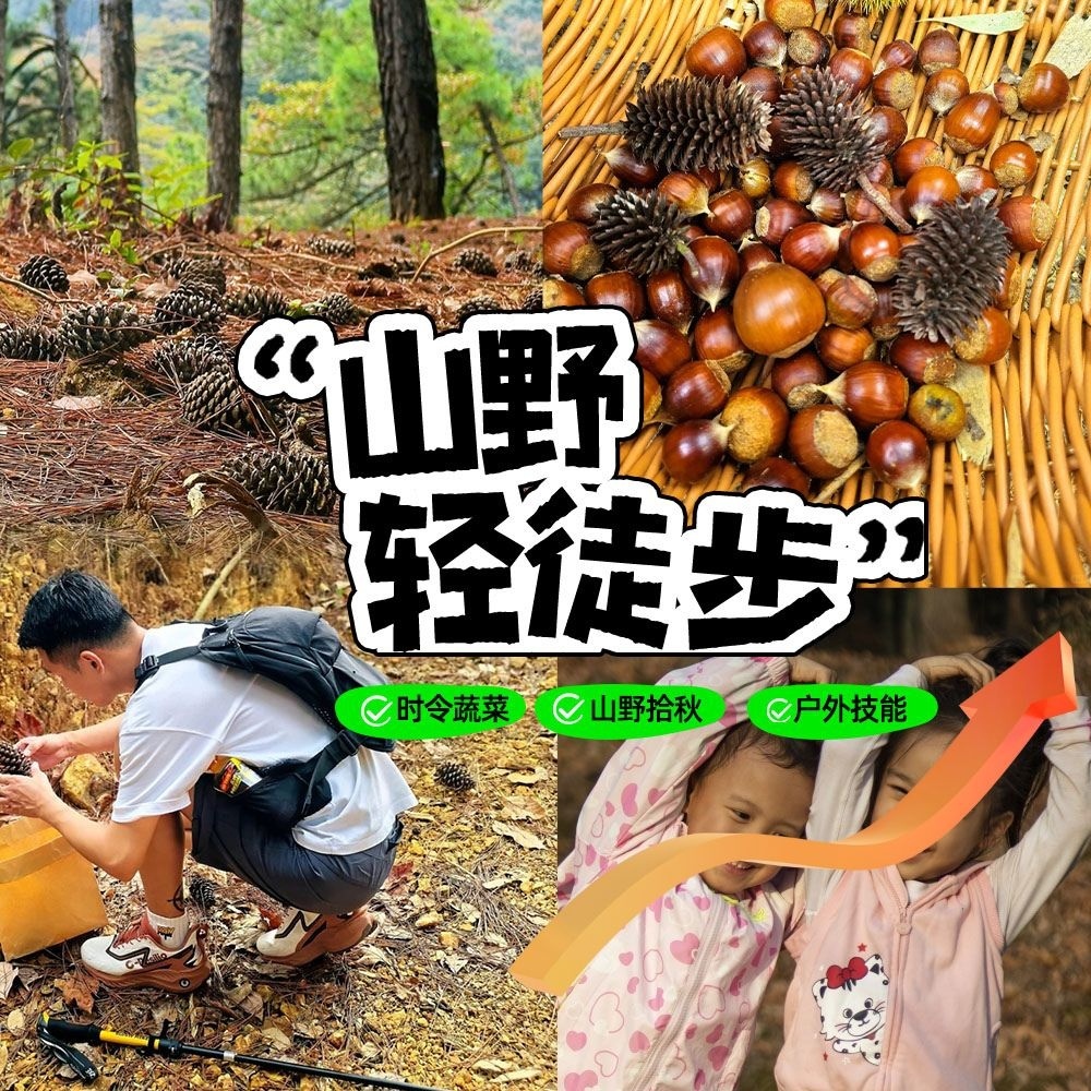 亲子户外·山野轻徒步 | 森林拾秋+时令蔬菜3斤