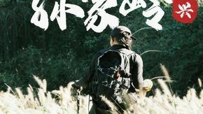 古道·孙家岭|浙东“武功山”,漫步绿野山巅