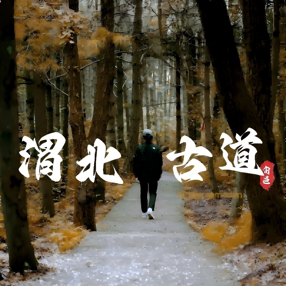 宝藏小城·旬邑直道 | 步入秋韵森林古道，寻丹霞石窟