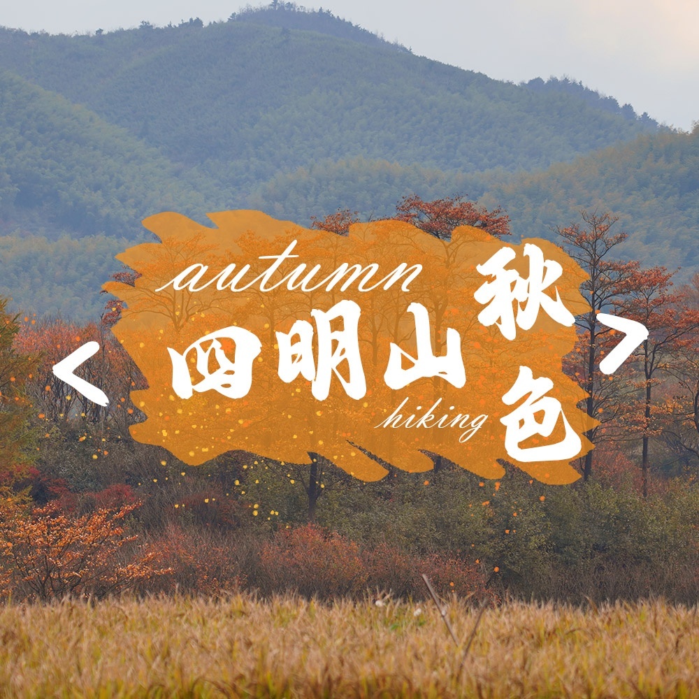 秋染·茅镬古树林 徒步四明山斑斓秋色